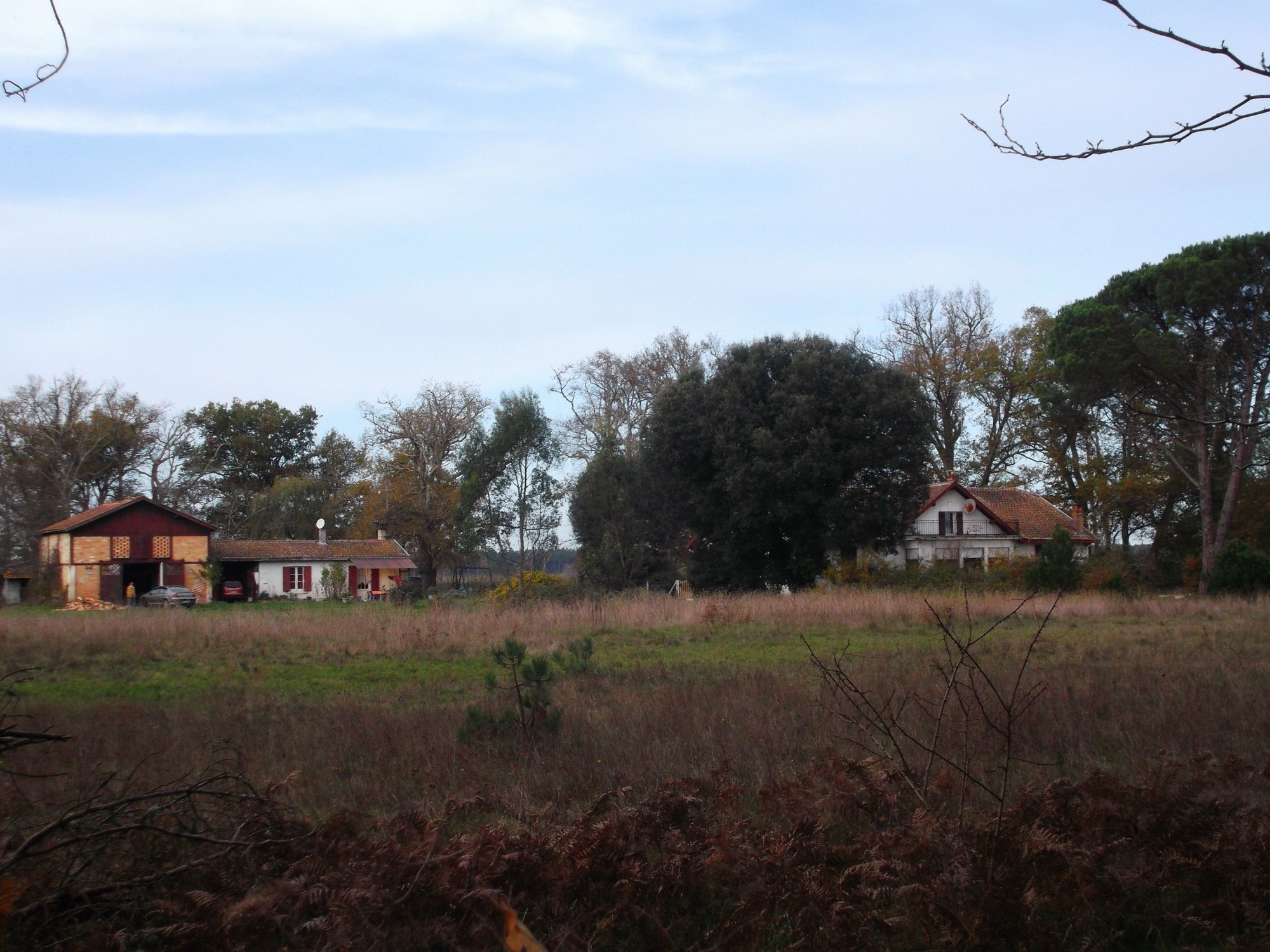 Vente Maison à Lacanau-Médoc.  Propriété à vocation forestière d'environ 74 hectares avec habitation principale et granges.